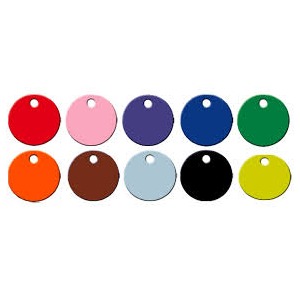 PLASTIC Disc Tags 1 1/2" Plain (100 pack)