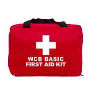 Basic First Aid Kit with Soft Case